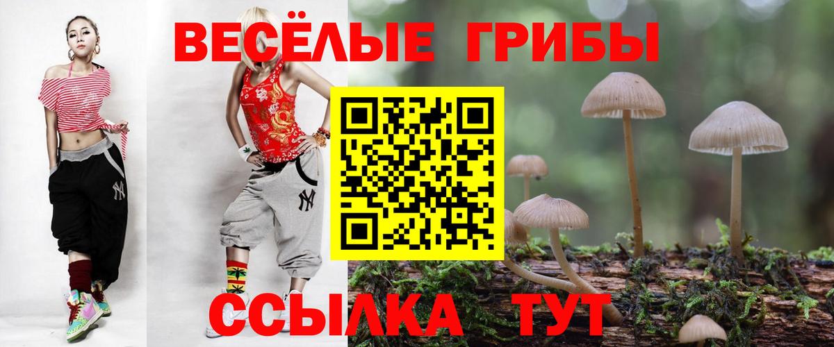 Псилоцибиновые грибы ЛСД Дзержинский